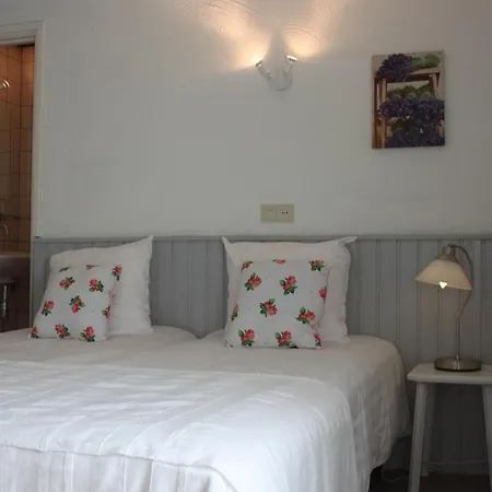 Hotel Vroenhof 2*