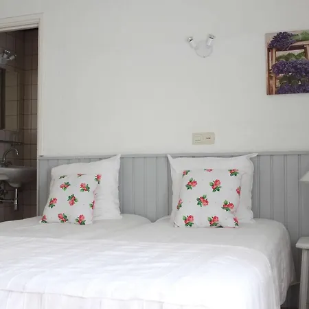Hotel Vroenhof 2*