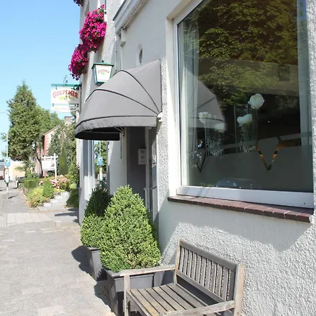 Hotel Vroenhof 2*